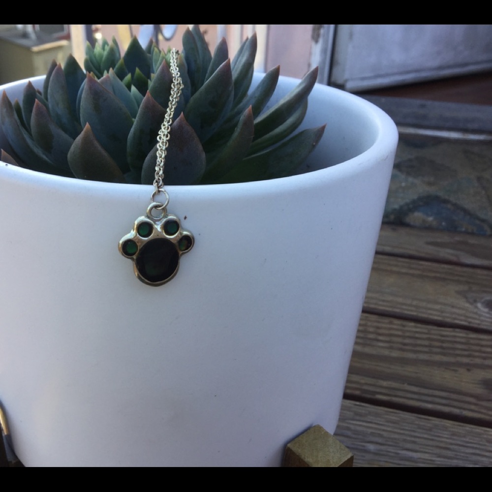 Paw Print Pet Cat Dog Necklace Mood Necklace